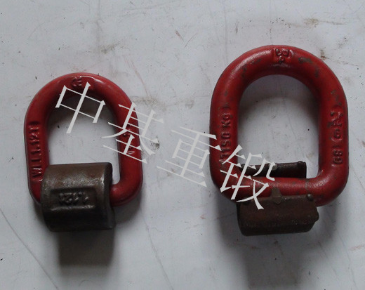  D RING DSC01804